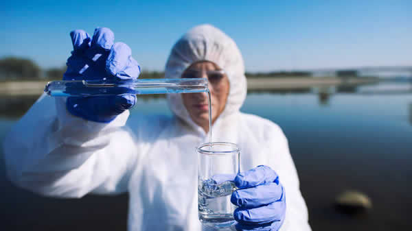 Como a ecotoxicologia regulatória impacta o registro ambiental de produtos agrícolas
